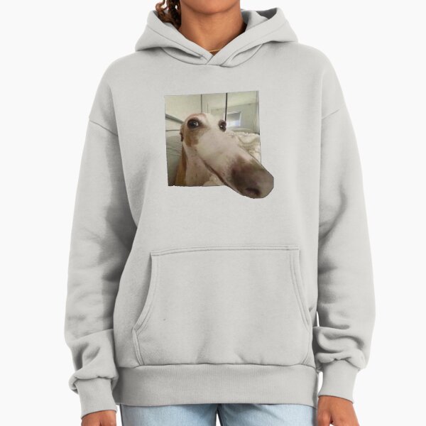 Funny Dog Hoodie