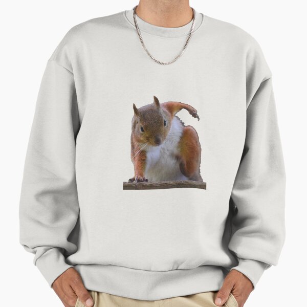 Squirrel Hero Landing - Bearskin Sweatshirt