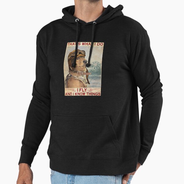 Golden Retriever Pilot That's What I Do I Fly And I Know Things Hoodie