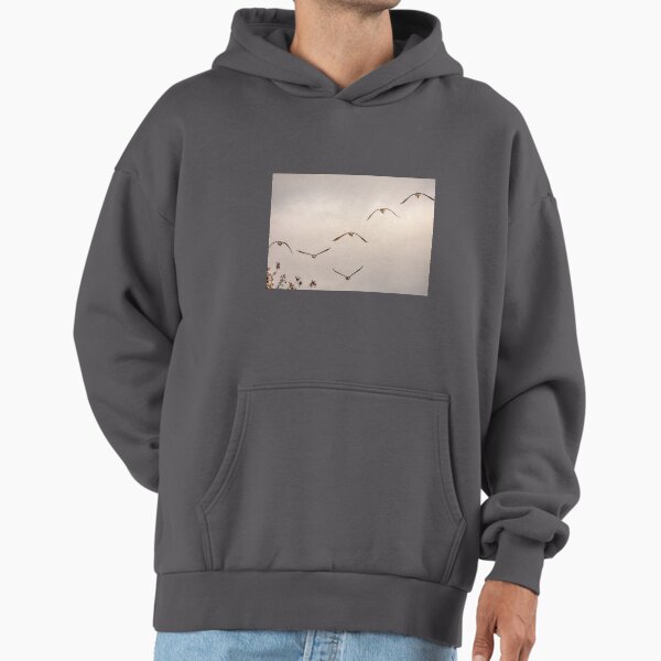 Canada Geese flight _back-end view!!! Hoodie