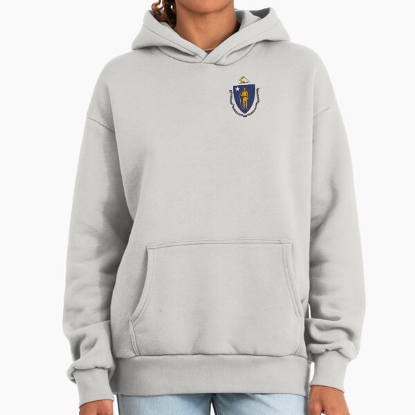 Massachusetts flag Hoodie