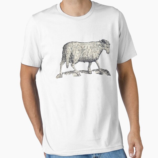 Woodcuts bestiary - arabian sheep T-Shirt