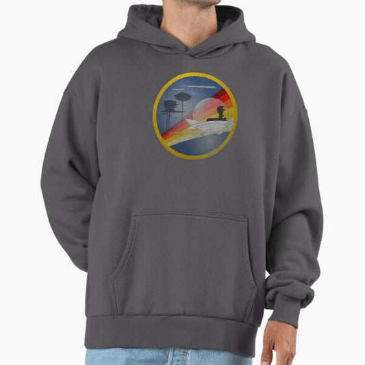 Fly back to the future! Hoodie