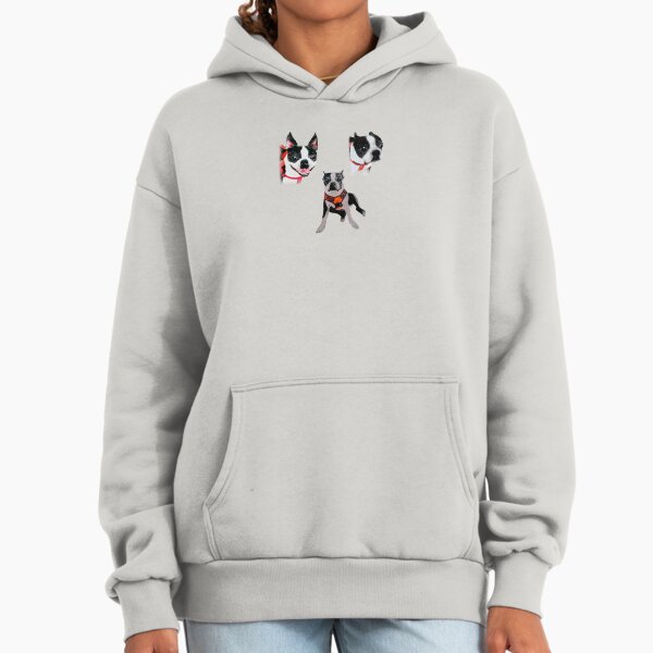 Boston Patterns Hoodie