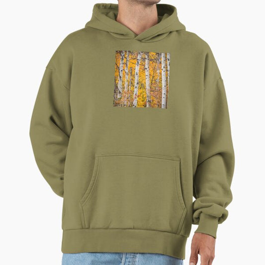 Fall Colors in Aspen Trees Hoodie