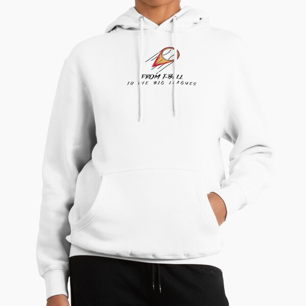 From T-Ball to the Big Leagues Hoodie