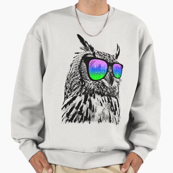 Cool Owl Sweatshirt
