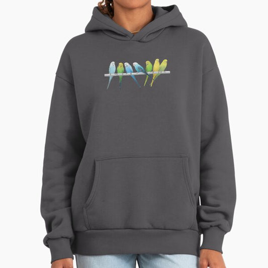 Rows of Budgies pet birds sitting on a perch a on white background Hoodie