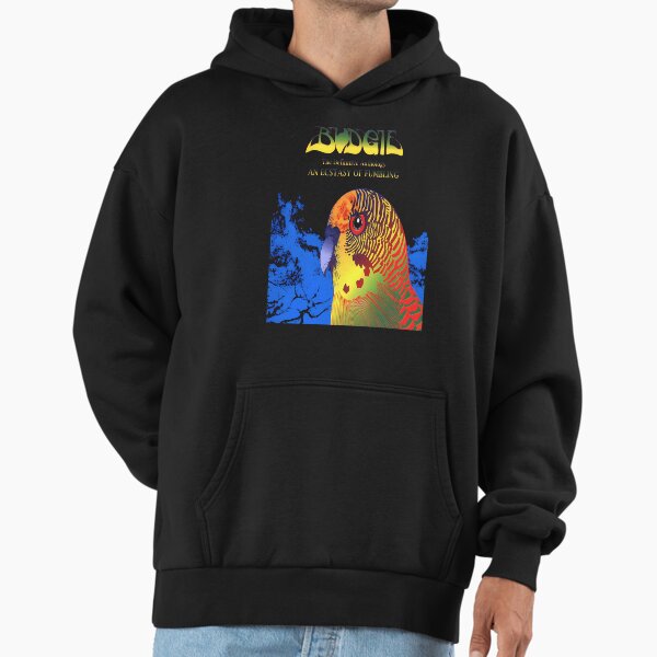 Budgie Band The Dfinitive Anthology An Ecstasy Of Fumbling Hoodie
