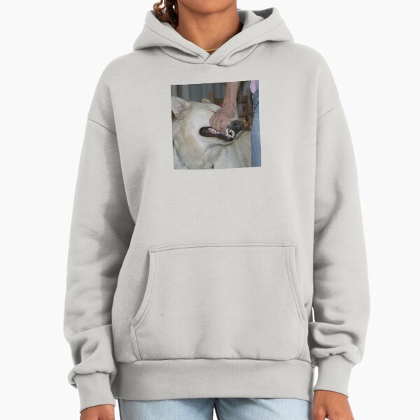 Sign crushes motorist - i'll be okay Album Cover Hoodie