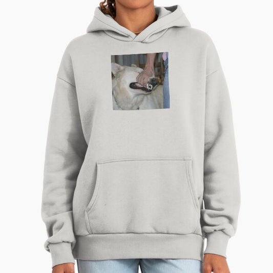 Sign crushes motorist - i'll be okay Album Cover Hoodie