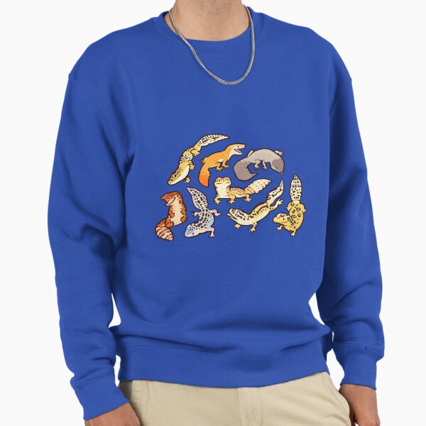 Chub geckos in blue Sweatshirt
