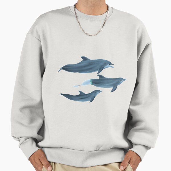 The Clearwater Dolphins Sweatshirt